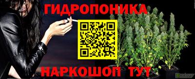 ешки Дубна