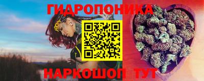 ешки Дубна