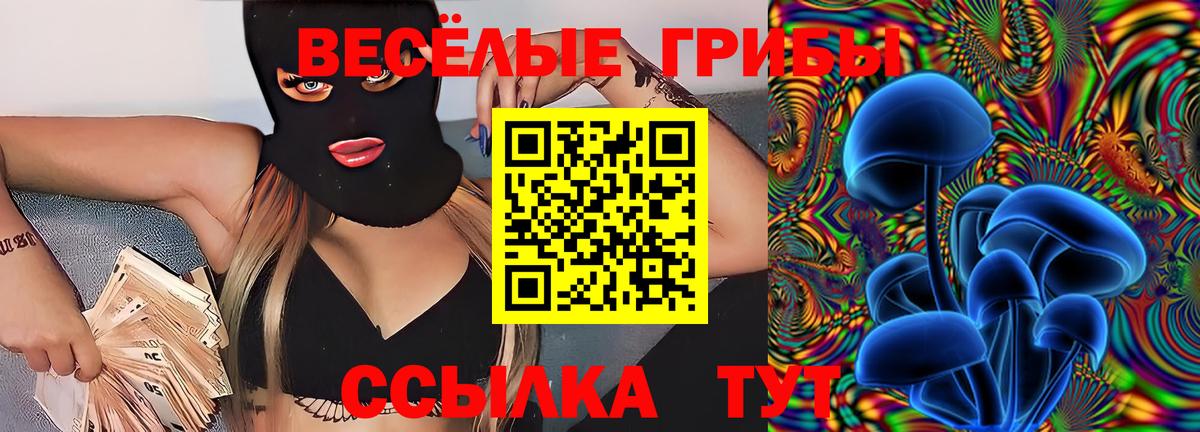 Галлюциногенные грибы Psilocybine cubensis Мелеуз
