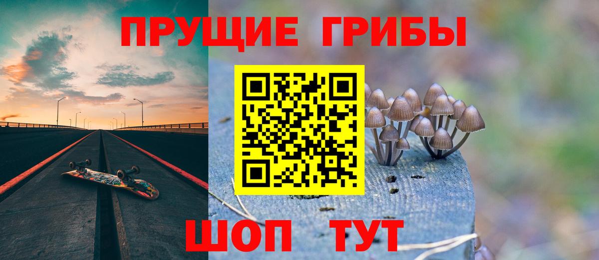 Псилоцибиновые грибы Psilocybine cubensis  Вход с VPN  Псилоцибиновые грибы прущие грибы  наркотики  Мелеуз 